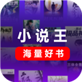 小说王最新版