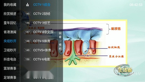 天水麻辣烫美食TV电视版