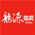 龙源临武安卓免费版