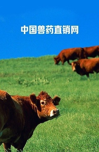 兽药直销网正版图1