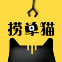 捞单猫官方正版
