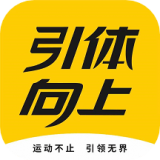 引体向上正版