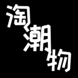 淘潮物直装版