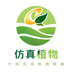 仿真植物商城直装版