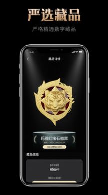 玛雅藏品安卓官方版图1
