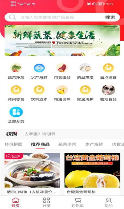 菜鲜美安卓版图2