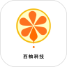 西柚科技通用版