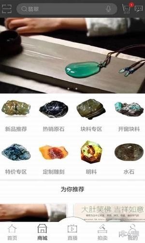 相玉免费版图4