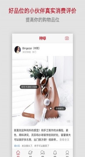 趣种草官方正版图1