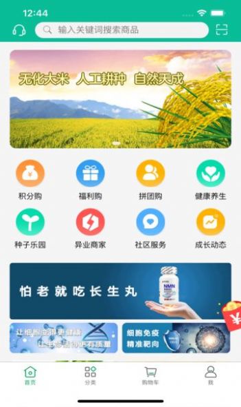 新恒爱官方正版图3