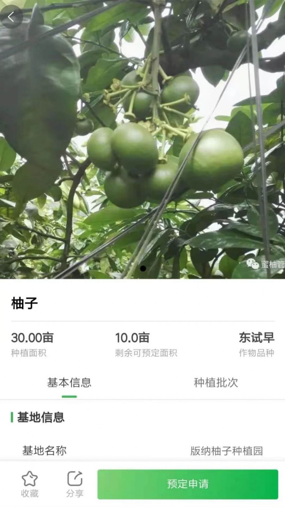 智云优选原版图3