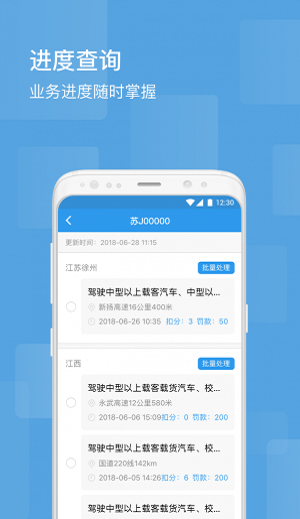 智行违章处理手机正版图2