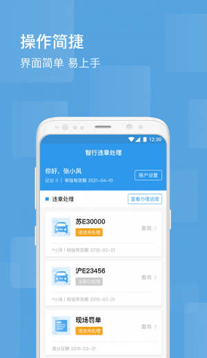 智行违章处理手机正版图3