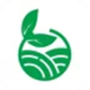 徽食原版