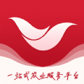 挺汇优选手机版