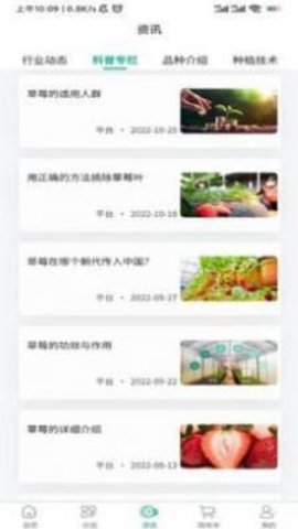泉水草莓安卓直装版图1