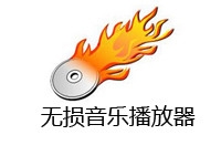 无损音乐手机正版