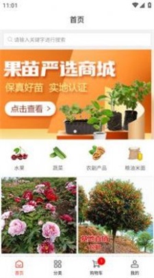 辰阳商城通用版图3