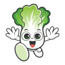 闪菜网直装版