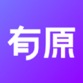 有原安卓直装版