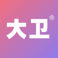 大卫优孕正版