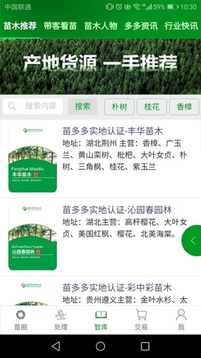 苗多多原版图2