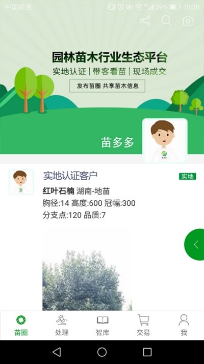 苗多多原版图3
