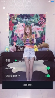DK主题商店免费版图2