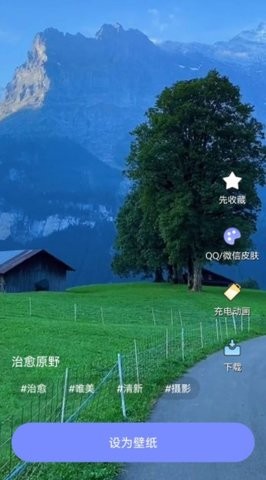 天天桌面壁纸手机版图3