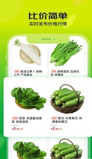 亿农批直装版图1