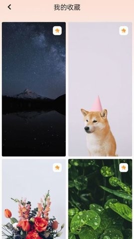 天天换壁纸手机免费版图3