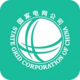 网上国网直装版