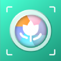 万物识图官方版 V1.0.4