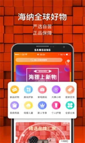 海狸星球(3)