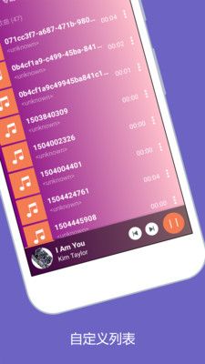 全能音乐播放器直装版图2