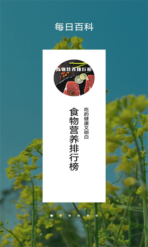 每日博物馆官方最新版