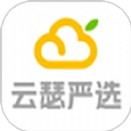 云瑟严选手机免费版