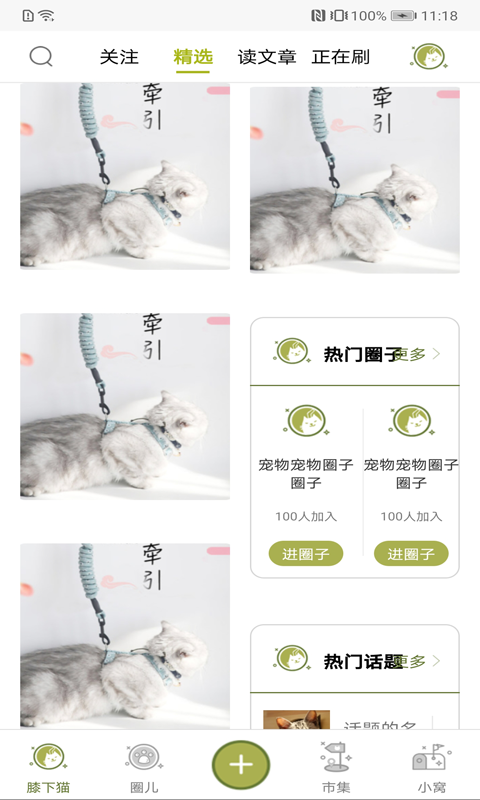 膝下猫最新免费版图2