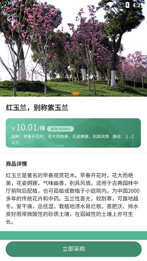 一千零一叶官方正版图2