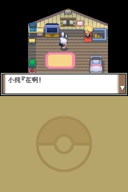 口袋妖怪白金图1