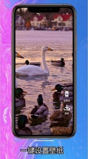 简约壁纸手机版图3