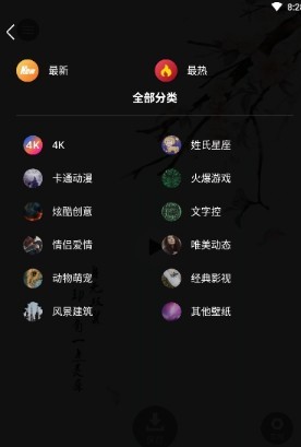 4k动态壁纸安卓免费版图4
