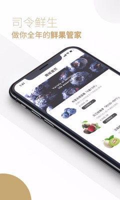 卢司令正版图4