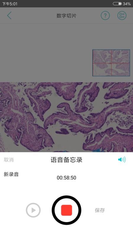 91360会诊免费版图1