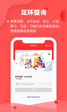 信鸽纵横管理端最新免费版图4