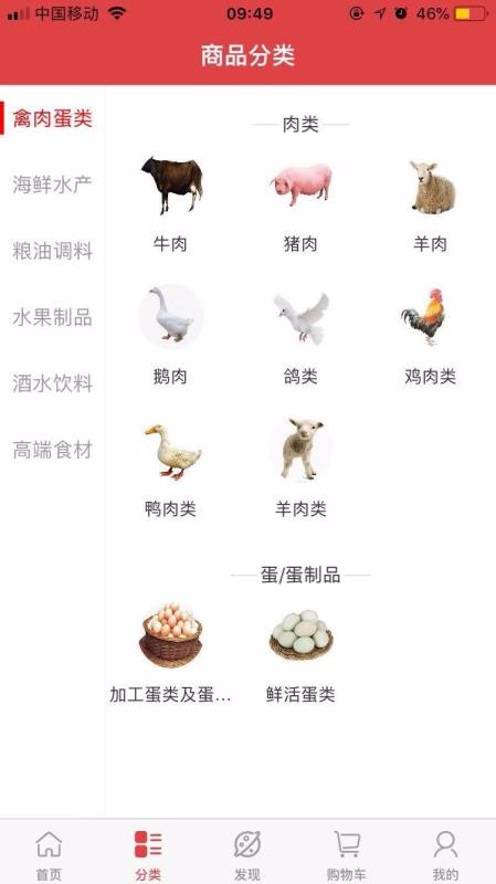膳满分免费版图4