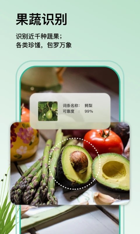 万物识图安卓官方版图5