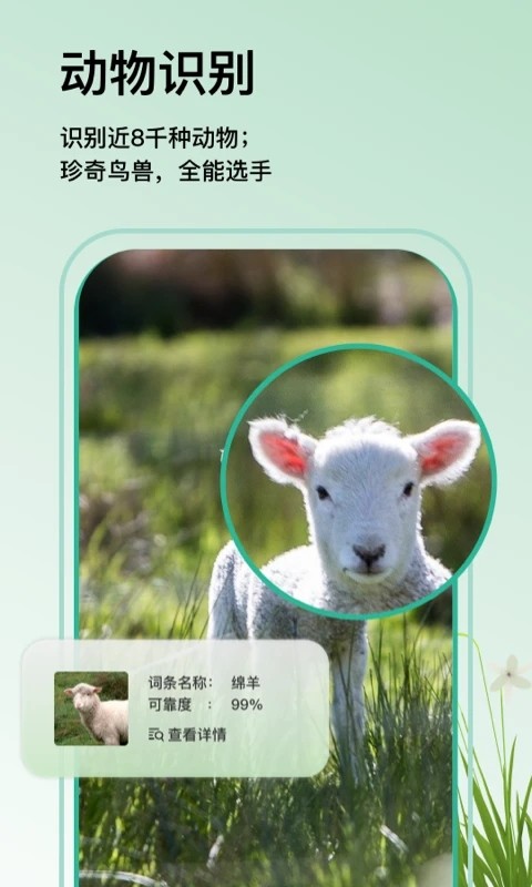 万物识图安卓官方版图4