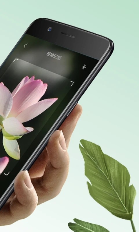 万物识图安卓官方版图1