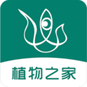 眼香直装版